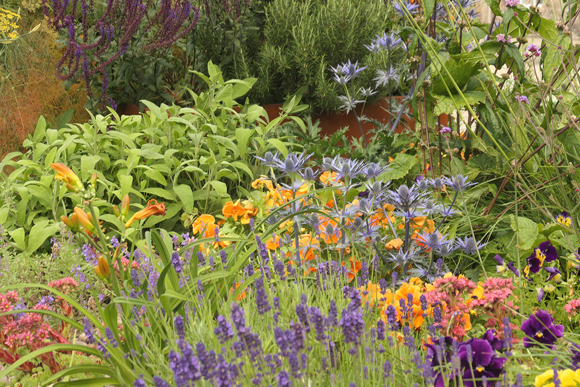 A low maintenance garden need not look boring!