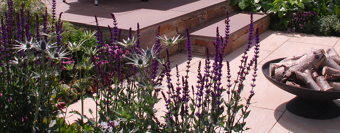 Paving and plants - in harmony